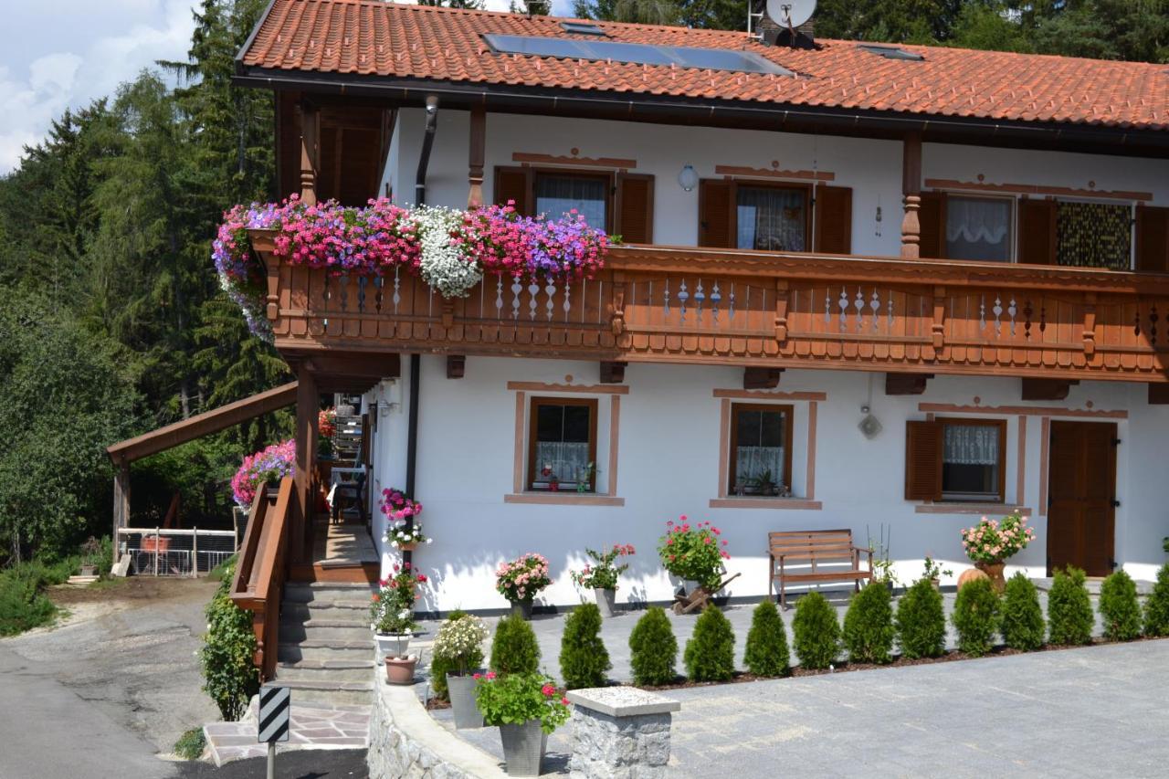 Gruberhof Apartment Rodengo Exterior foto